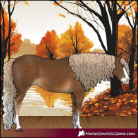 Horse Color:Chocolate Palomino Splash