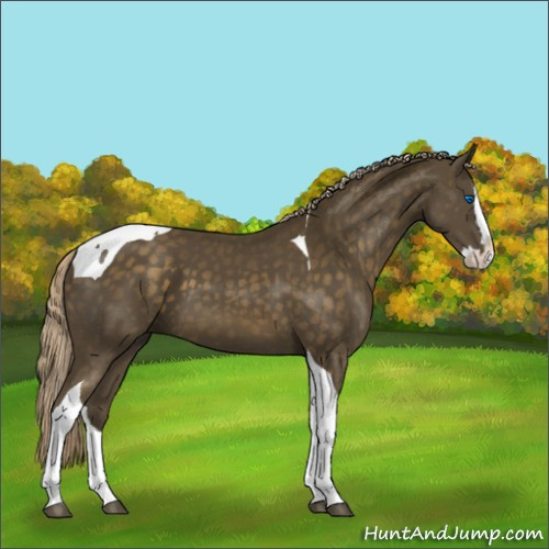 Horse Color:Chocolate Palomino Splash Tobiano 