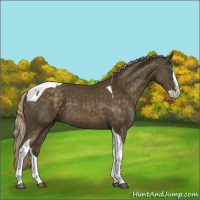 Horse Color:Chocolate Palomino Splash Tobiano 