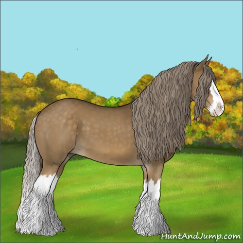 Horse Color:Chocolate Palomino Splash