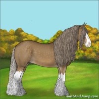 Horse Color:Chocolate Palomino Splash
