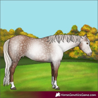 Horse Color:Gray Silver Black Pearl Tobiano 
