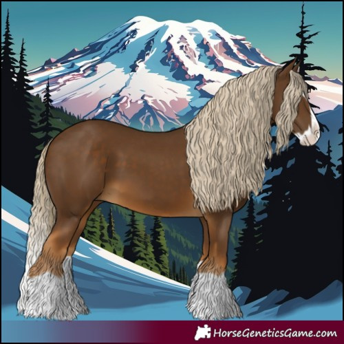 Horse Color:Chocolate Palomino Splash