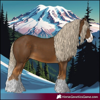 Horse Color:Chocolate Palomino Splash 