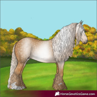Horse Color:Gray Palomino 