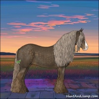 Horse Color:Chocolate Palomino Splash 