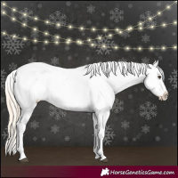 Horse Color:Palomino Blanket 