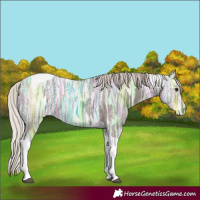 Horse Color:Silver Black Ice Tobiano