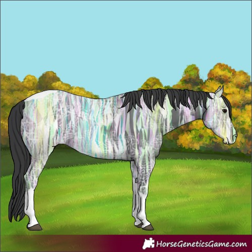 Horse Color:Black Ice Tobiano