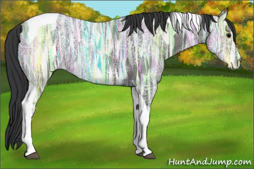 Horse Color:Black Ice Tobiano 