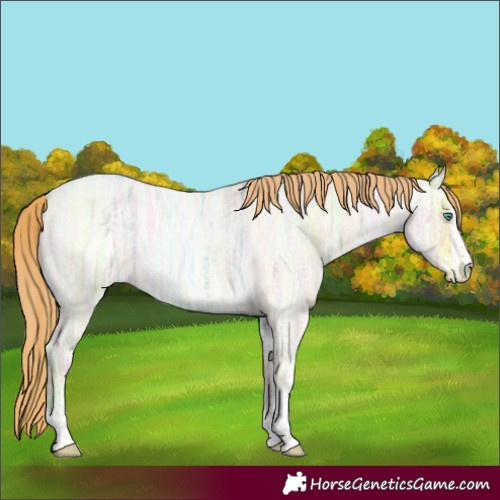 Horse Color:Smoky Blue Ice Roan Pearl Sabino 