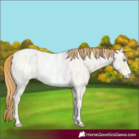 Horse Color:Smoky Blue Ice Roan Pearl Sabino