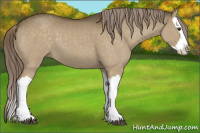 Horse Color:Chocolate Palomino Dun Splash