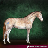 Horse Color:Red Onyx Ice 