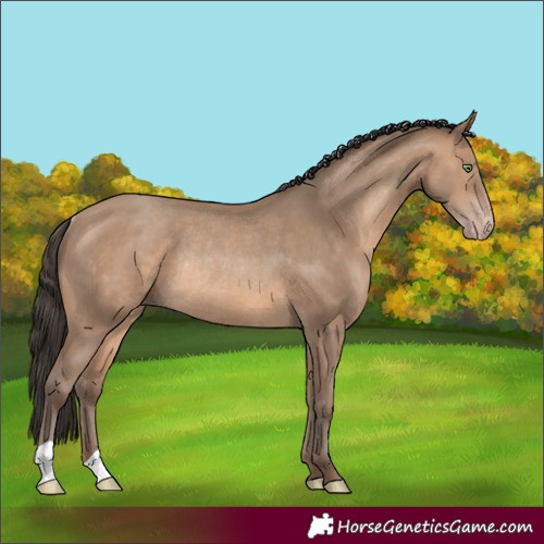 Horse Color:Sable Champagne Rabicano 