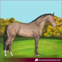 Horse Color:Sable Champagne Rabicano 
