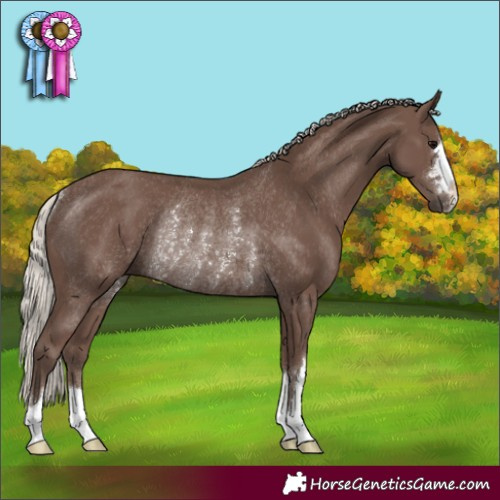 Horse Color:Silver Black Rabicano 