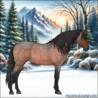 Horse Color:Bay Roan 