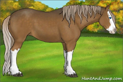 Horse Color:Chocolate Palomino Splash