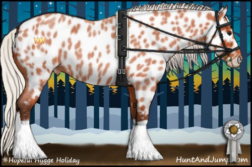 Horse Color:Silver Bay Roan Near Leopard 