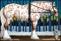 Horse Color:Silver Bay Roan Appaloosa 