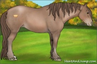 Horse Color:Blue Roan Pearl 
