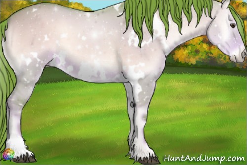 Horse Color:Watercolor White Spotted Liver Red Dun Onyx 