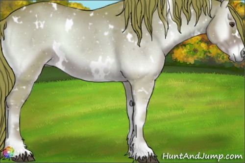 Horse Color:Watercolor White Spotted Liver Red Onyx 