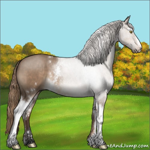 Horse Color:White Spotted Liver Red Dun Sabino 