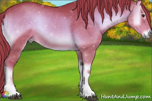 Horse Color:Watercolor Liver Red Onyx Sabino 