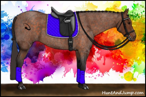 Horse Color:Buckskin Roan Sabino 