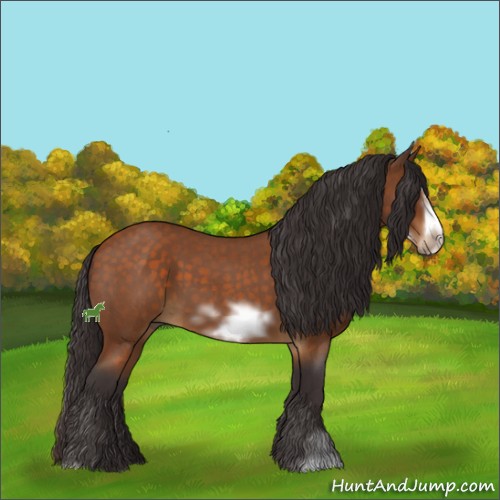 Horse Color:Buckskin Roan Sabino Frame 