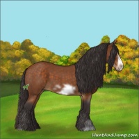 Horse Color:Buckskin Roan Sabino Frame 