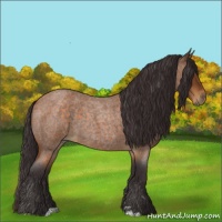 Horse Color:Buckskin Roan Sabino 