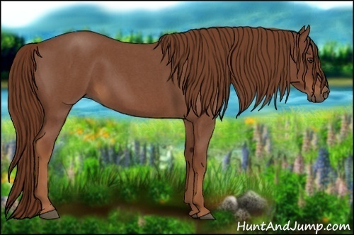 Horse Color:Red Roan 