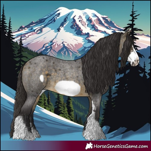 Horse Color:Buckskin Roan Sabino Frame 