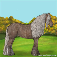 Horse Color:Silver Grullo  and Silver Black 