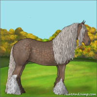 Horse Color:Silver Black 