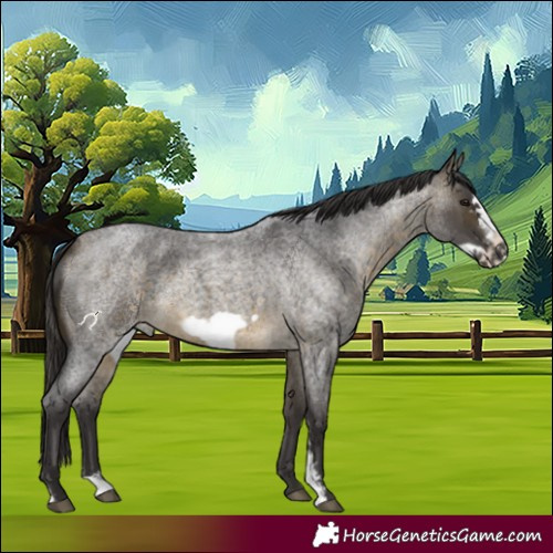 Horse Color:Buckskin Roan Sabino Frame 