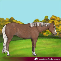Horse Color:Silver Black