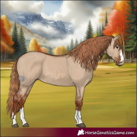 Horse Color:Red Dun 