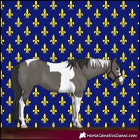 Horse Color:Grullo Tobiano