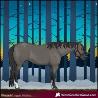 Horse Color:Grullo Tobiano