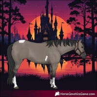 Horse Color:Grullo Tobiano