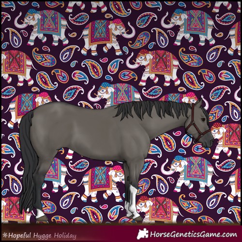 Horse Color:Grullo Tobiano 