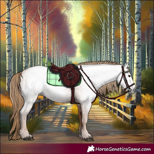 Horse Color:Gray Chestnut 
