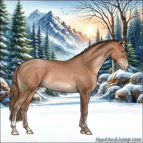 Horse Color:Black Pearl Sabino
