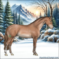 Horse Color:Black Pearl Sabino