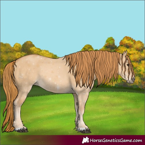 Horse Color:Red Dun