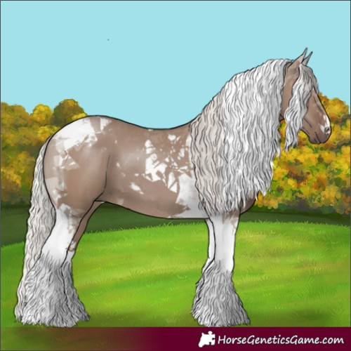 Horse Color:Silver Grullo Tobiano 